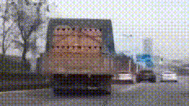 644f0f98766804981325f6c3ca792d15.gif