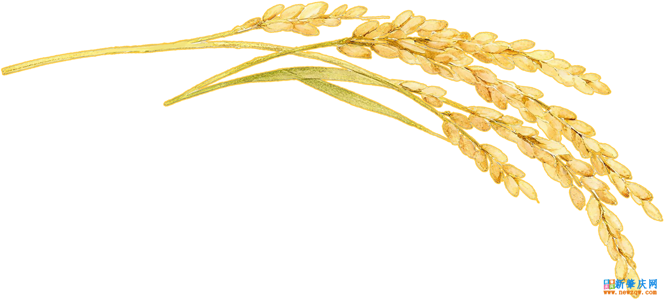 1bef829357f6c0b579e857a6c82bf201.png
